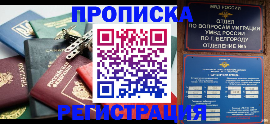 временная регистрация недорого в Кохме